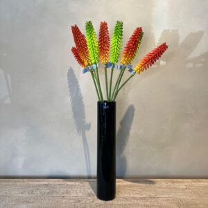 Kniphofia Stiel 90cm