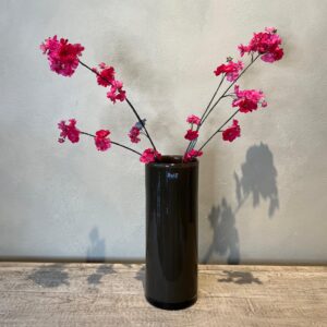 Blüte Zweig Schönheit