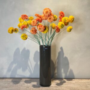 Tagetes Zweig