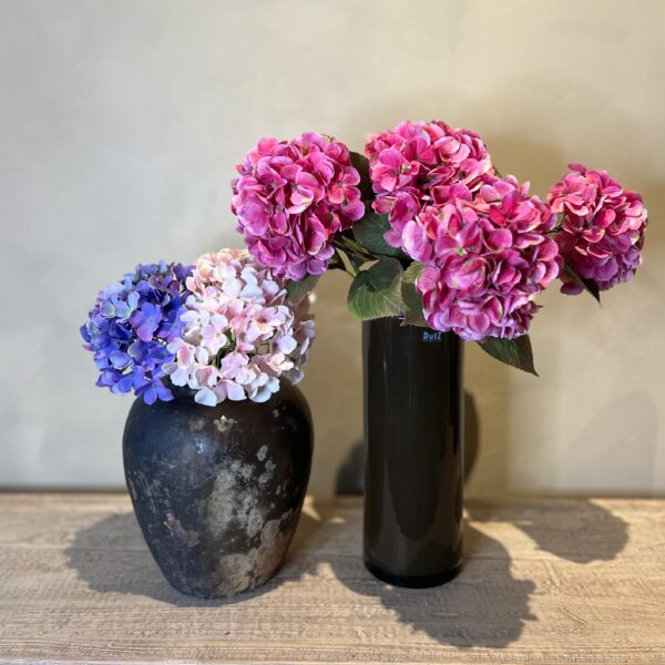 Hortensie Stiel – Bild 2