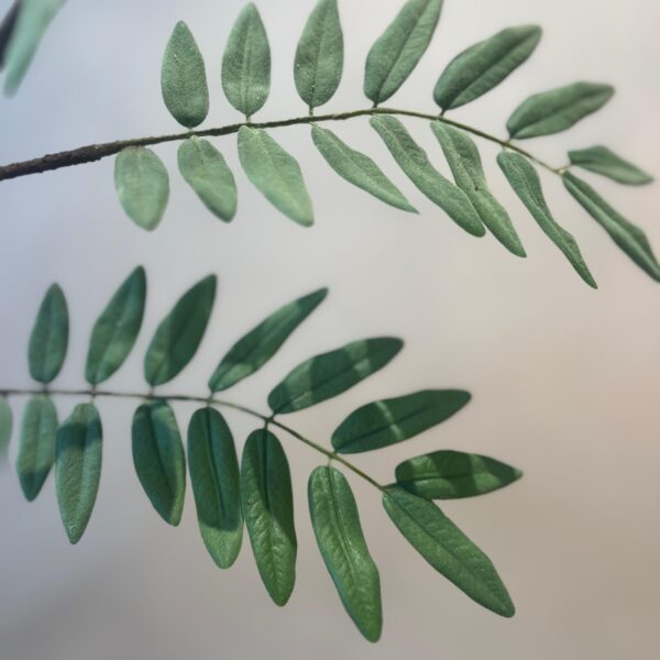 Fern Zweig 120 cm – Bild 3