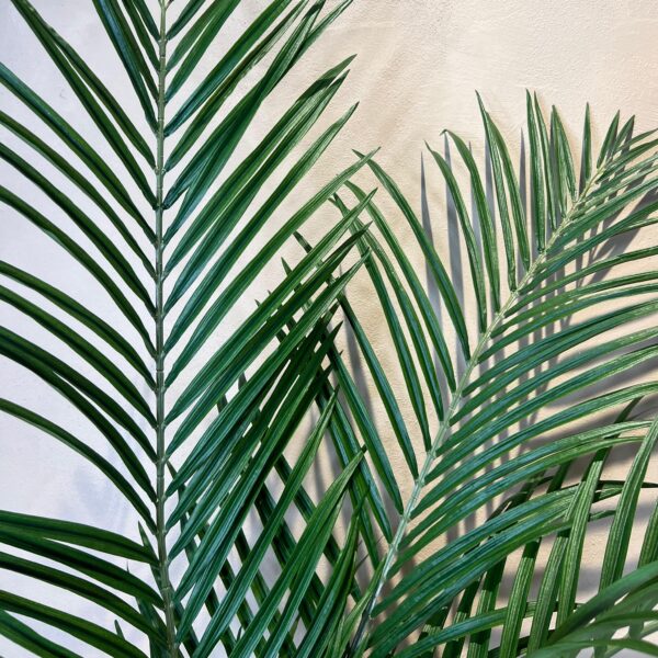 Palme Stiel 155 cm – Bild 3