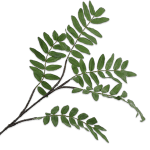 Fern Zweig 120 cm
