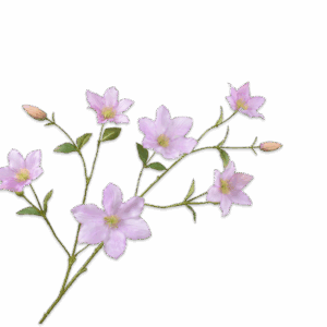 Klematis Zweig 94 cm