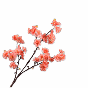 Blüte Zweig Orange