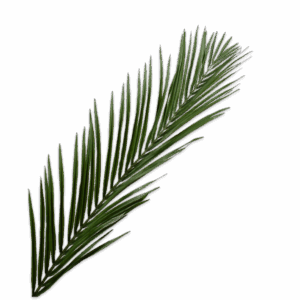 Palme Stiel 155 cm