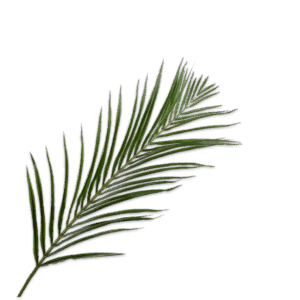 Palme Stiel 123 cm