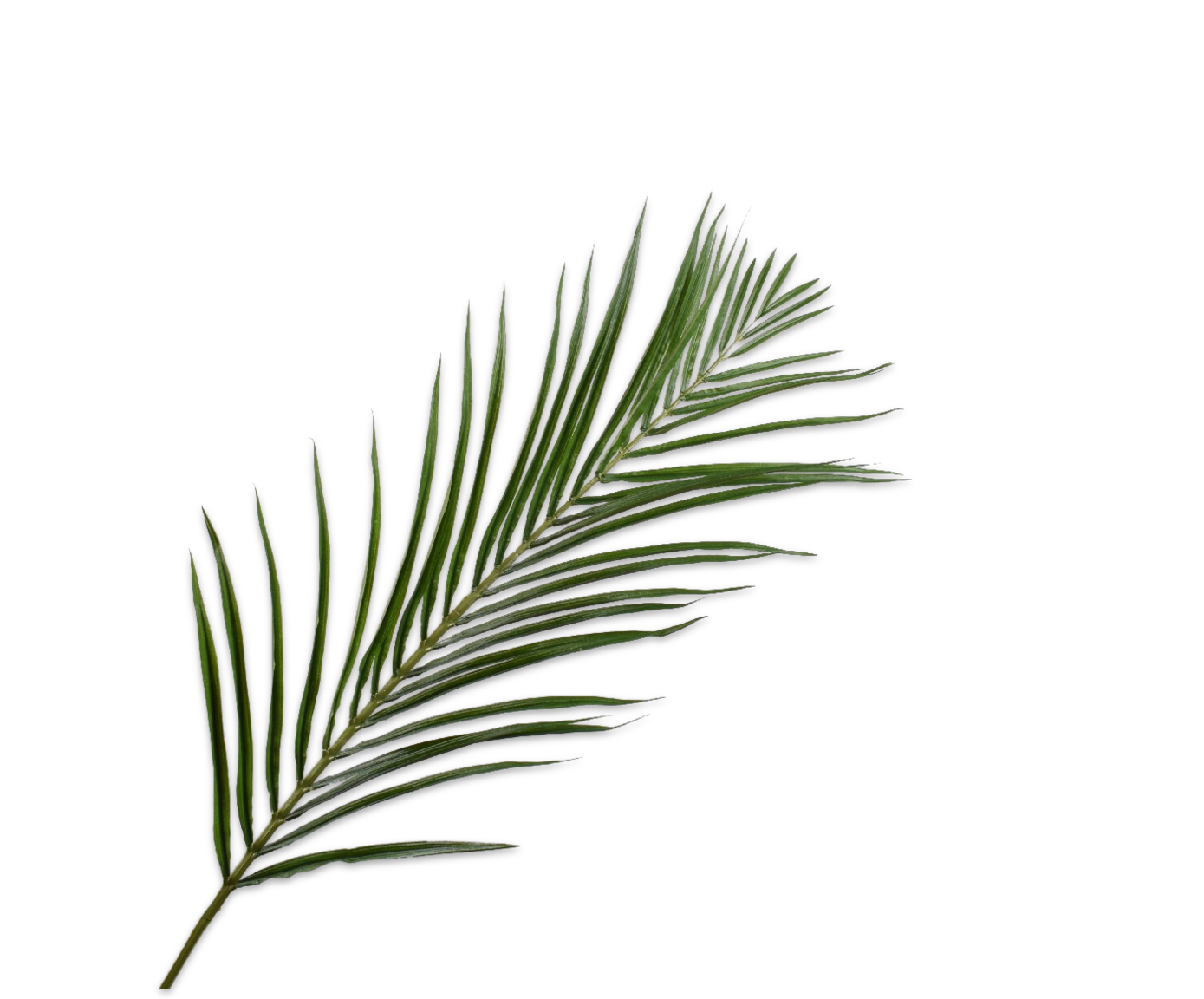 Palme Stiel 123 cm