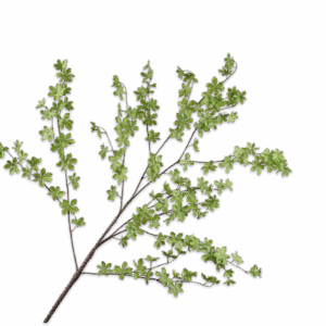 Blatt Zweig 150 cm