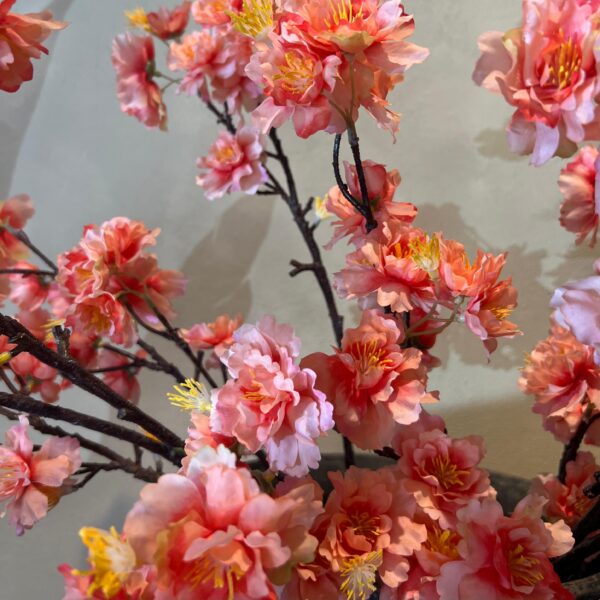 Blüte Zweig Orange – Bild 3