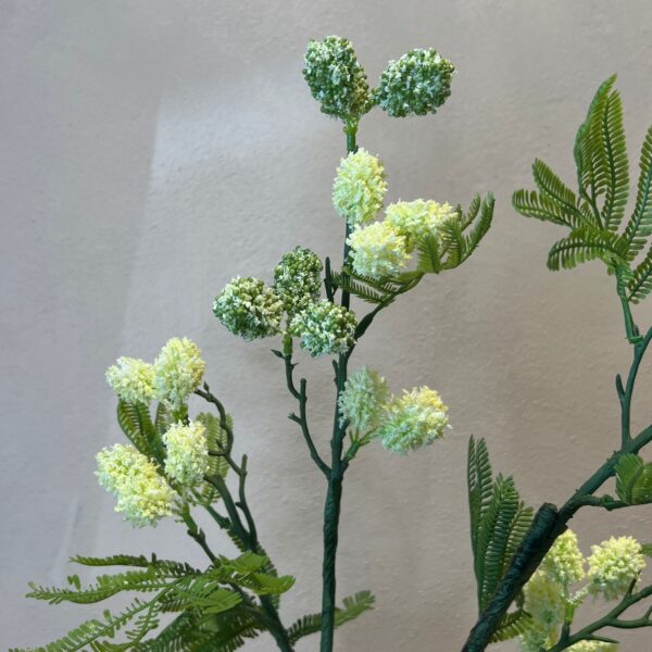 Mimosa Zweig 100 cm – Bild 3