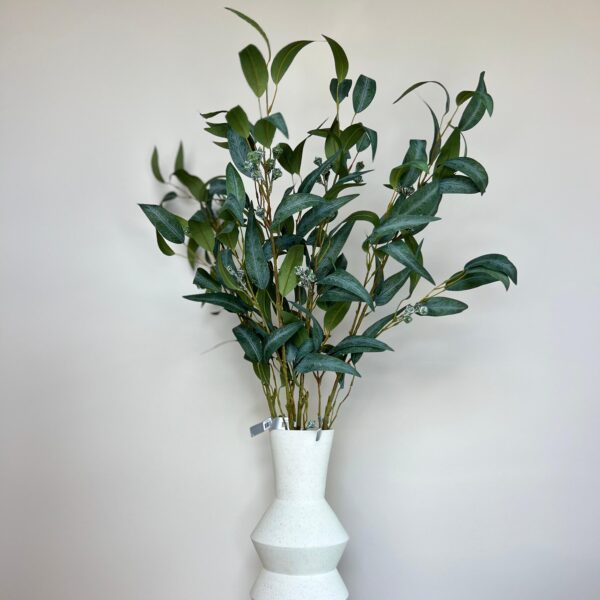 Eukalyptus